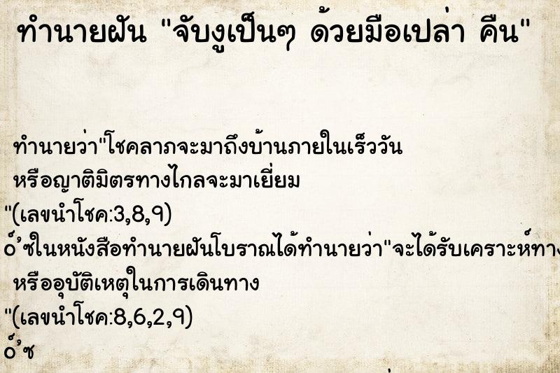 ทำนายฝันจับงูเป็นๆด้วยมือเปล่าคืน ทำนายฝันทำนายฝันจับงูเป็นๆด้วยมือเปล่าคืน
